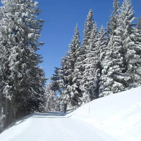 Studio Thollon-Les-Memises