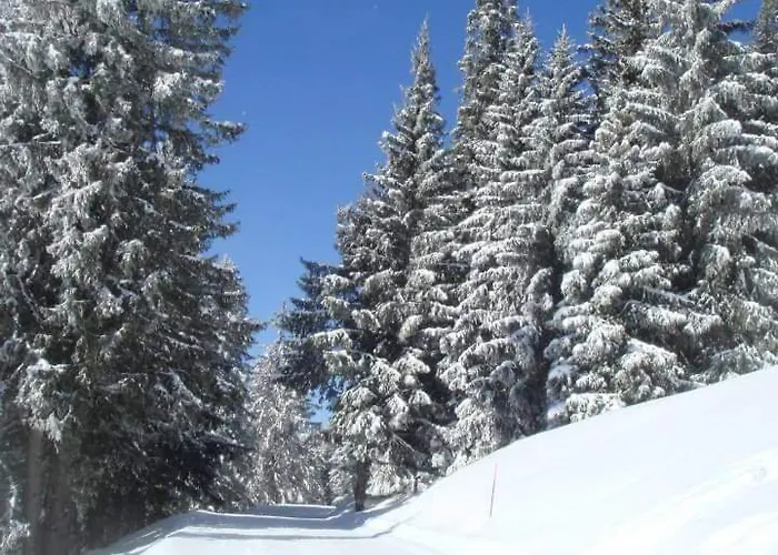 Thollon-les-mémises